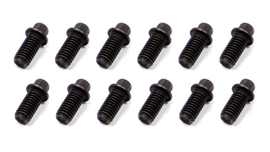 Steel Header Bolts 12 count